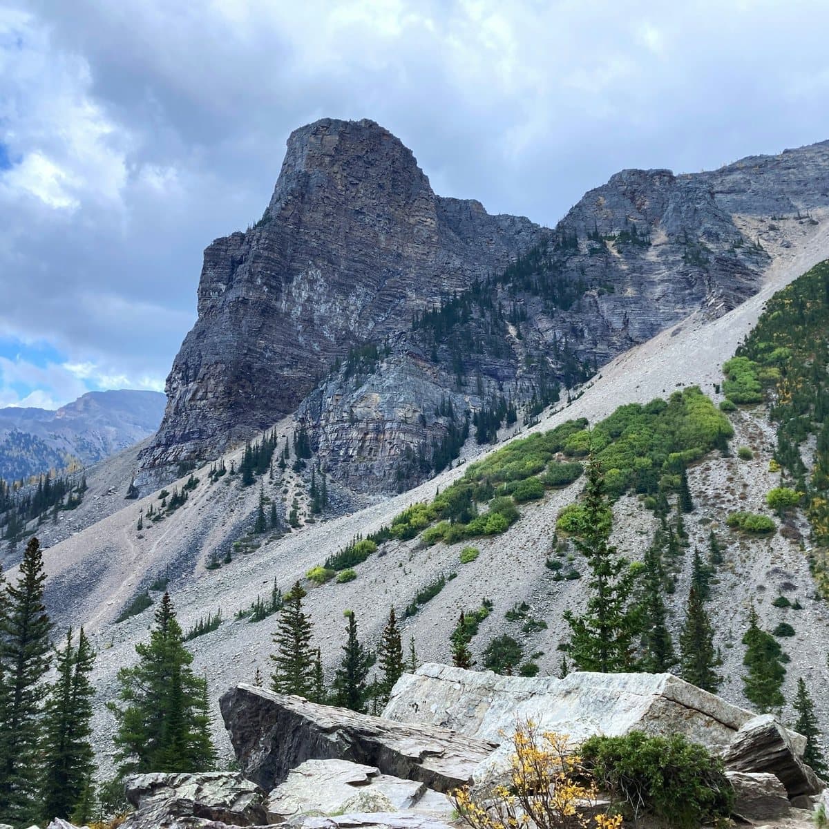 Mountain peaks above a forested valley